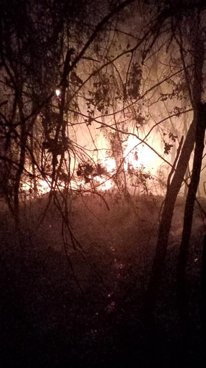 Adana`da orman yangını