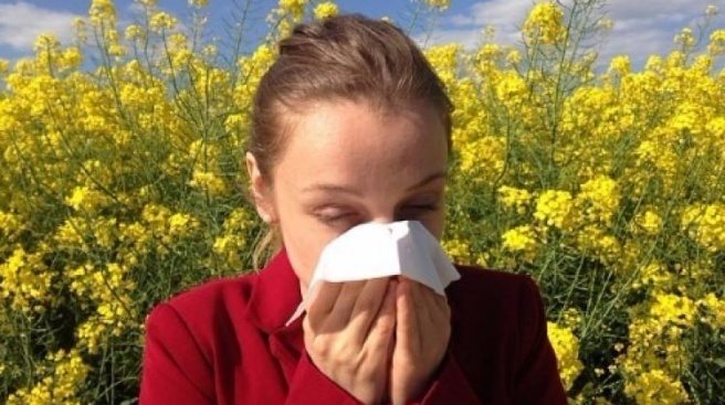 Alerjik hastalıklar ve korunma yolları