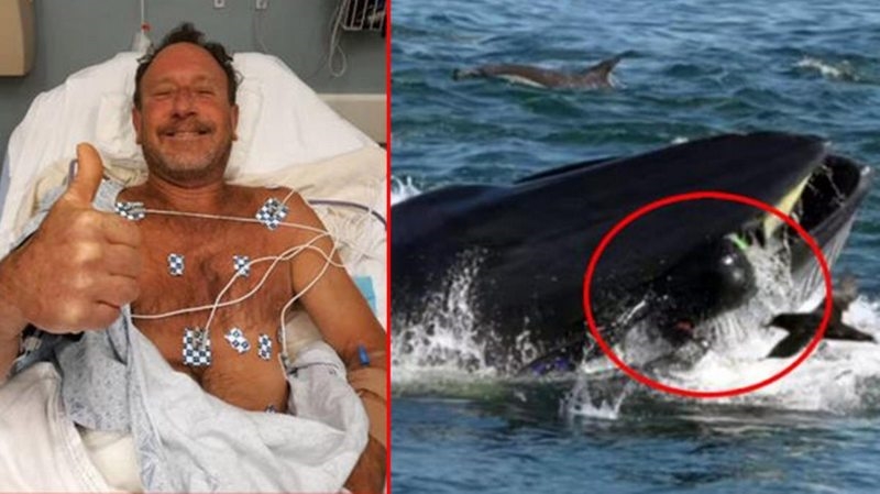 Balinanın yutup tükürdüğü ABD`li balıkçı, 3 kişinin öldüğü uçak kazasından da sağ kurtulmuş