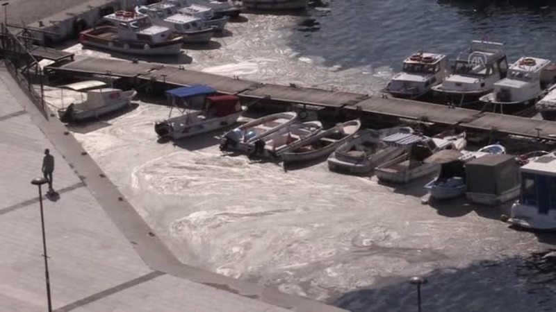 ÇANAKKALE - Marmara Denizi`ndeki müsilaj, Çanakkale kıyılarında rüzgarın etkisiyle yüzeyde görülüyor