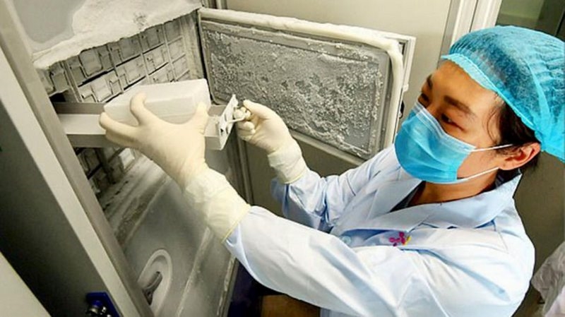 DSÖ aylardan beri süren araştırmasının ilk sonuçlarını yayınladı: Koronavirüsü yayan ilk kişi Wuhan`daki laboratuvardan bir çalışan