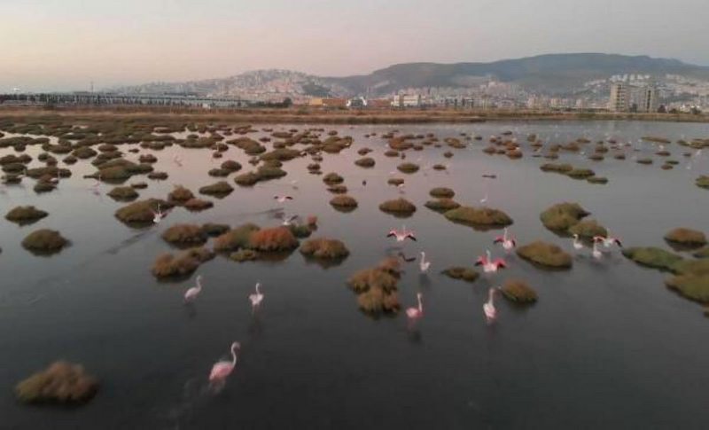 İzmir Kuş Cenneti`nde gün batımı güzelliği
