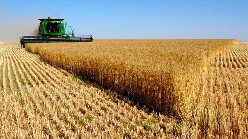 Kazakistan`da tarım arazilerinin yabancılara satılması ve kiralanması yasaklandı