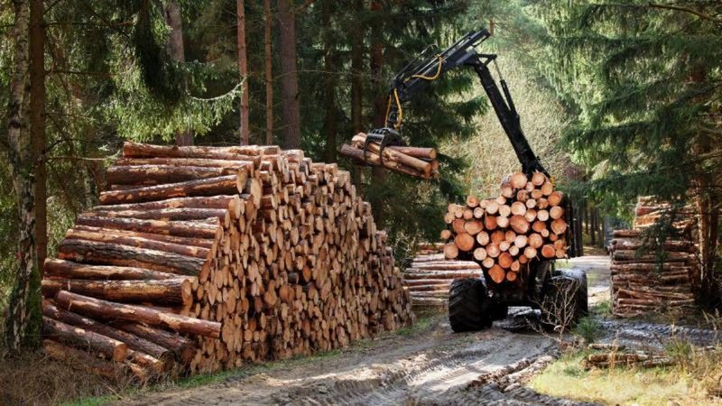 Ormancılık faaliyetlerinde çalıştırılmak üzere 2 bin geçici işçi alınacak