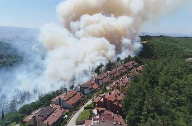 Son dakika: Bursa`da orman yangını