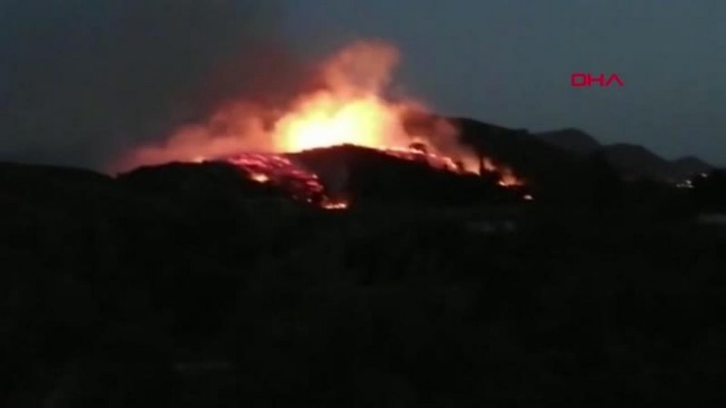 Son dakika gündem: Bodrum`da makilik alanda yangın