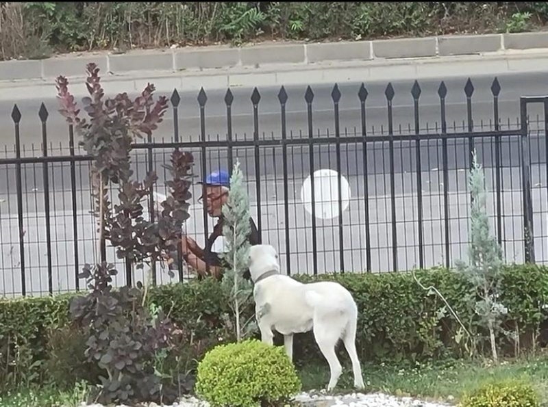 Son dakika haberleri! Bakan Selçuk sosyal medya hesabında köpeğe gazete okuyan vatandaşı paylaştı