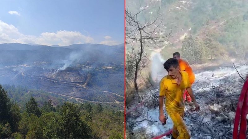 Suriye tarafında çıkan orman yangını Türkiye`ye sıçradı