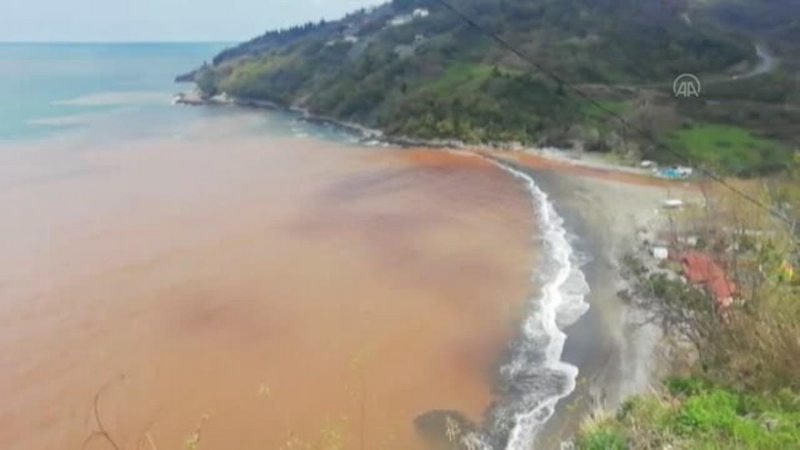 ZONGULDAK - Dereden akan çamurlu su denizin rengini değiştirdi