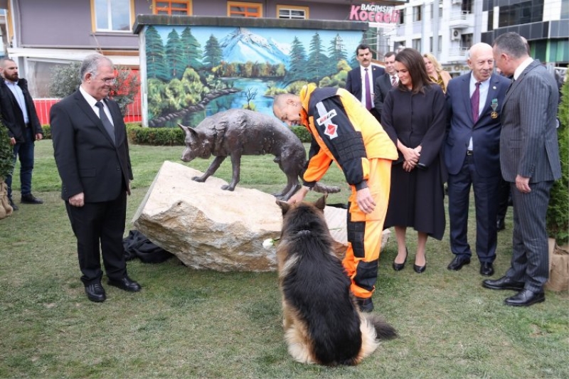 Kahraman köpek Mancs’in anısı İzmit