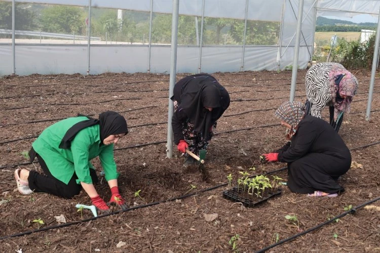 Kadın kooperatiflerine güçlü destek