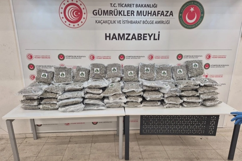 Gümrükler Muhafaza