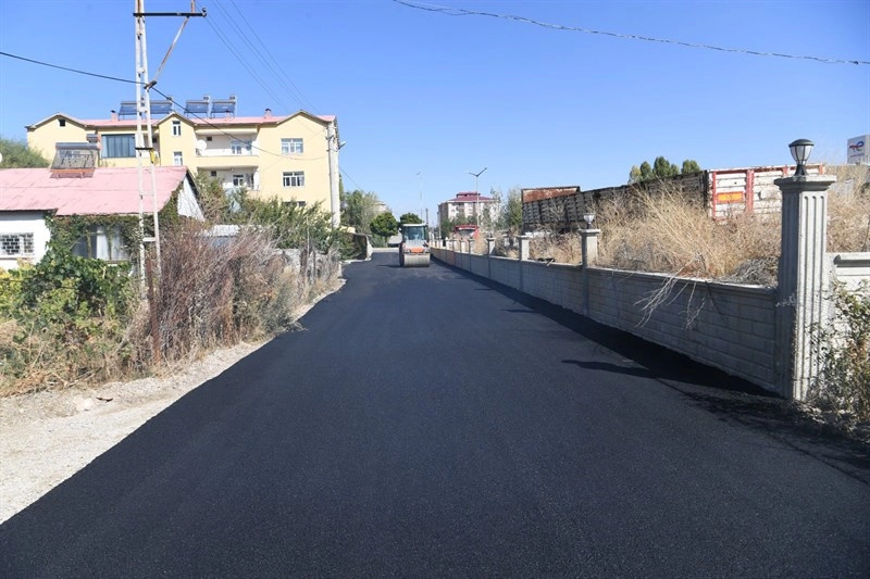 Muş