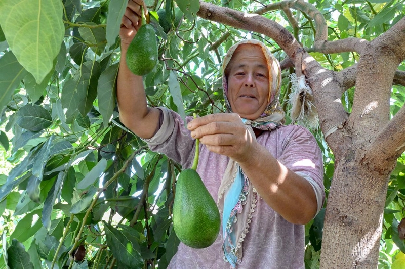Mersin