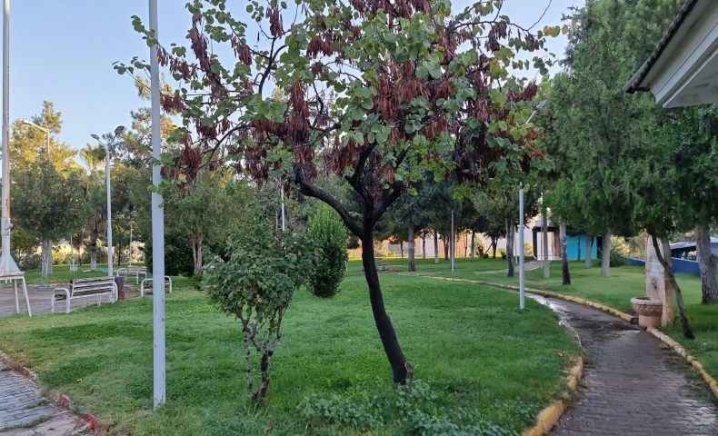 Eyyübiye