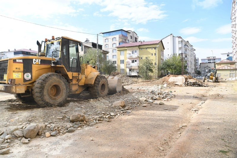 Muş