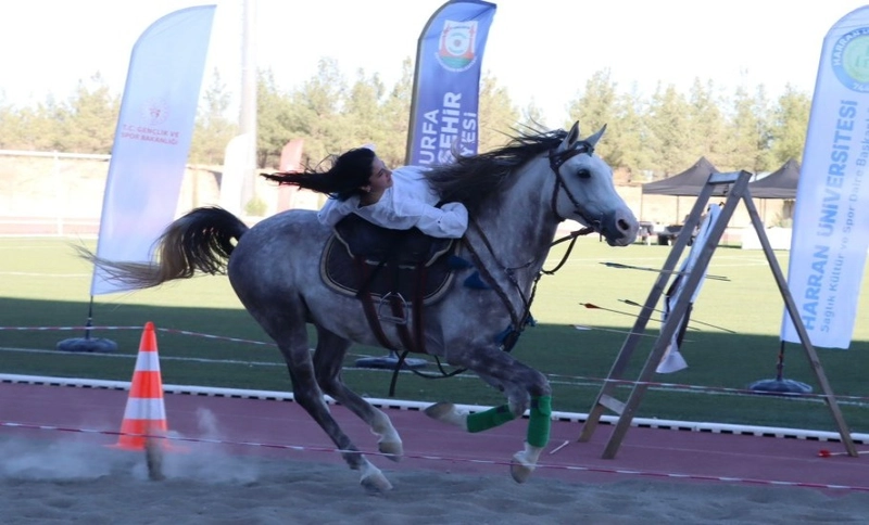 Ata Sporları Projesi Finali Şanlıurfa