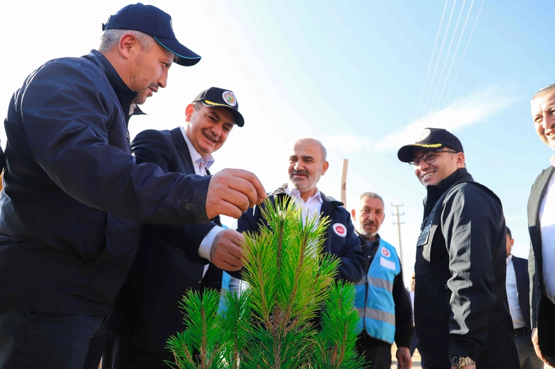11 Kasım Milli Ağaçlandırma Günü
