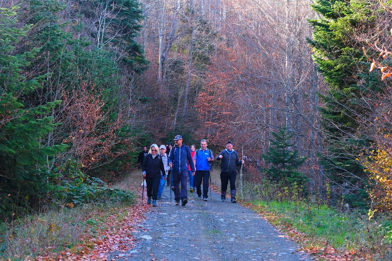 Sonbahar Doğa Yürüyüşleri Pamukova