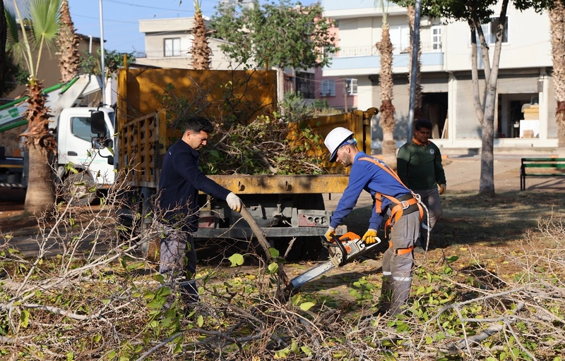 Toroslar Belediyesi Ağaçlara Kış Bakımı Yapıyor