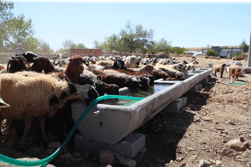 Mardin Büyükşehir Belediyesi 5 İlçeye 330 Sıvat Dağıttı