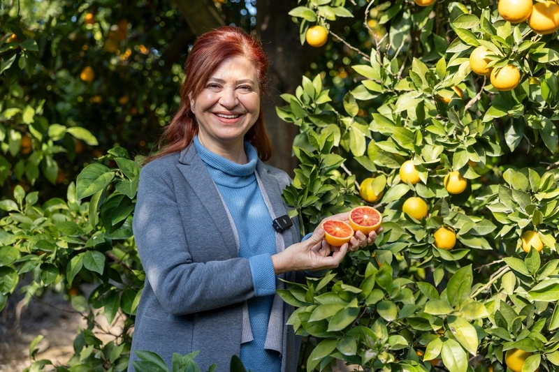 Mersin Kan Portakalı Coğrafi İşaret Tescili Aldı