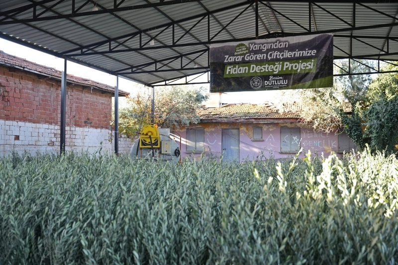 Manisa Büyükşehir, Akhisar