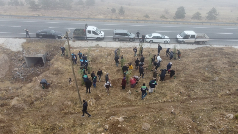 Kayseri Büyükşehir Belediyesi, Yahyalı