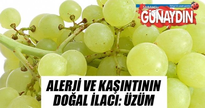 Adaçayı terlemeye, papatya göze iyi geliyor