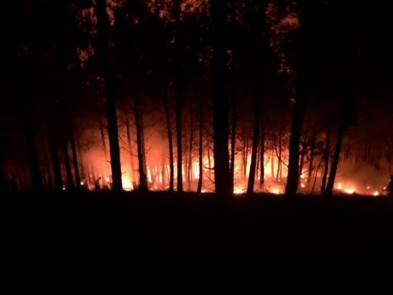 Adana`daki orman yangını kontrol altına alındı