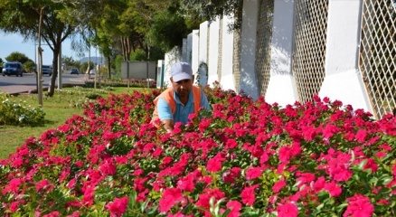 Alanya?ya 200 bin çiçek