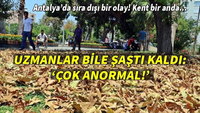 Antalya`da aşırı sıcakla gelen sonbahar görünümü