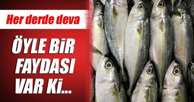 Balığın yeni bir faydası ortaya çıktı