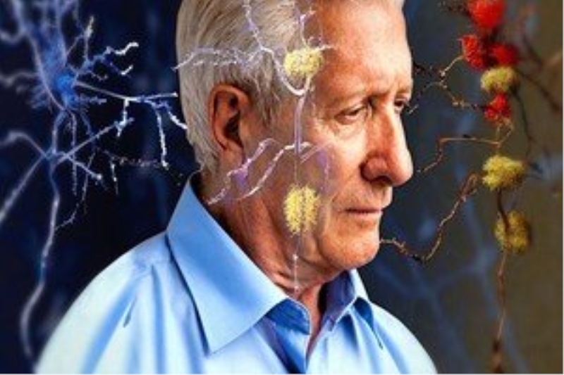 Balık, Alzheimer`a meydan okuyor