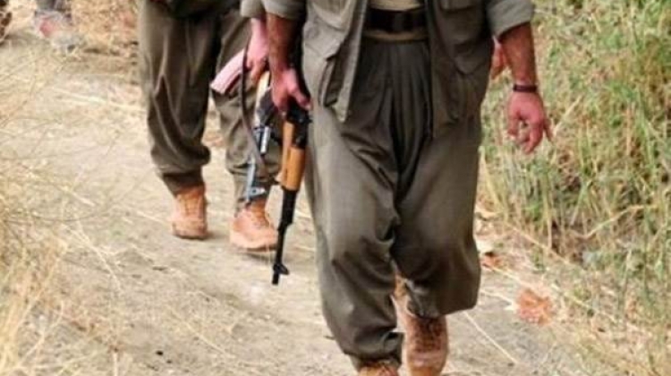 Birliğe saldırı hazırlığındaki 2 PKK'lı öldürüldü