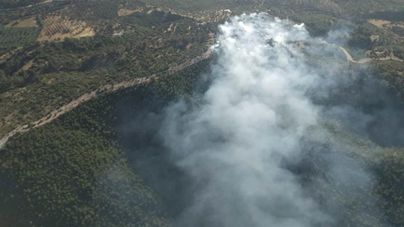 Bodrum`da ormanlık alanda çıkan yangın, ekiplerin çalışmaları sonucu kontrol altına alındı