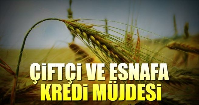 ÇİFTÇİ VE ESNAFA YENİ KREDİ DESTEĞİ GELİYOR