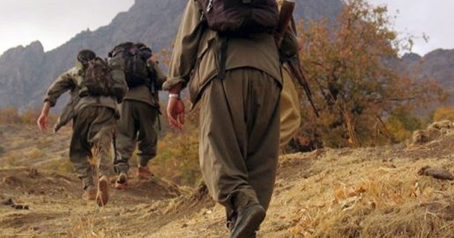 Dağ kadrosundan 3 PKK`lı yakalandı