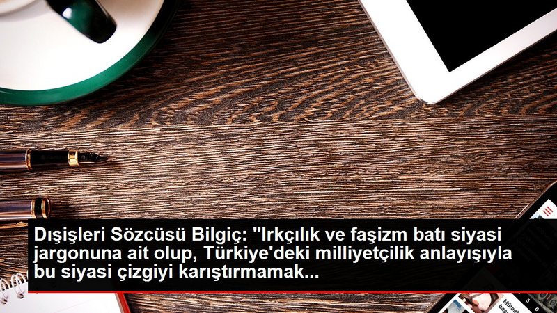 Dışişleri Sözcüsü Bilgiç`ten AP`ye `Ülkücü Hareketi` tepkisi