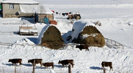 Doğu Anadolu donuyor: Ardahan - 39, Erzurum - 37?i gördü