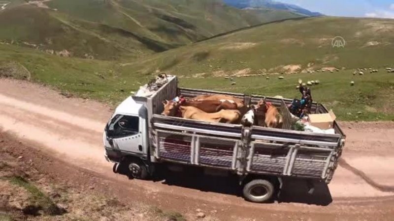 Doğu Karadeniz yaylaları, asırlardır süren göç geleneğiyle şenleniyor