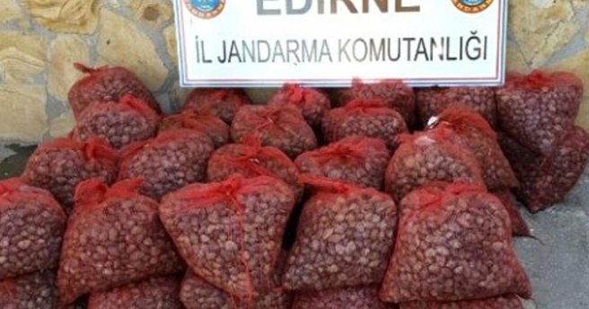 Edirne`de 1 ton kaçak midye ele geçirildi