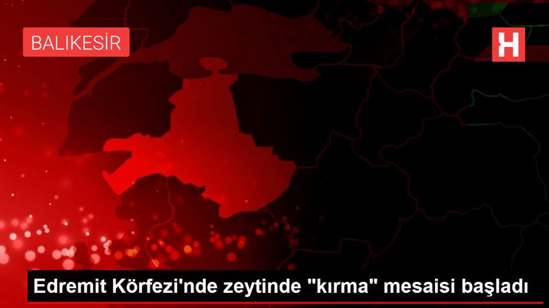 Edremit Körfezi`nde zeytinde 