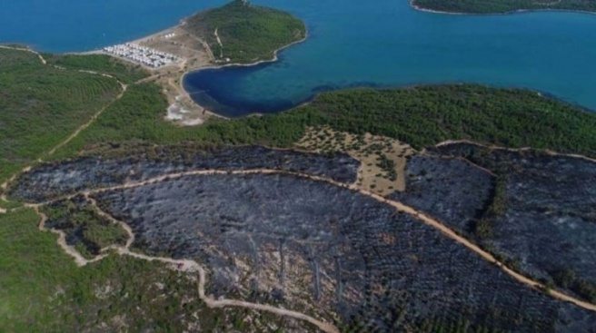 Eroğlu`ndan Ayvalık`taki yangın için açıklama