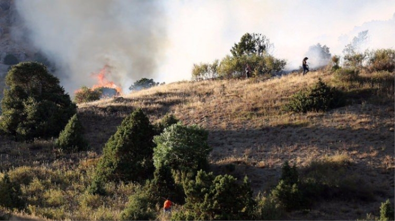 Erzincan'da arazide çıkan yangın söndürülemiyor