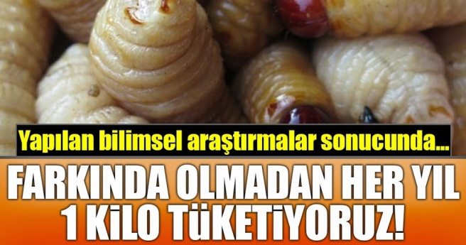 Farkında olmadan her yıl 1 kilo tüketiyoruz!