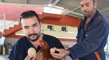 Folluktan çıkan dev yumurta şaşırttı