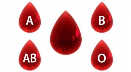 Hangi kan grubundan olanlar kimlere kan verebilir? HEMEN ÖĞREN