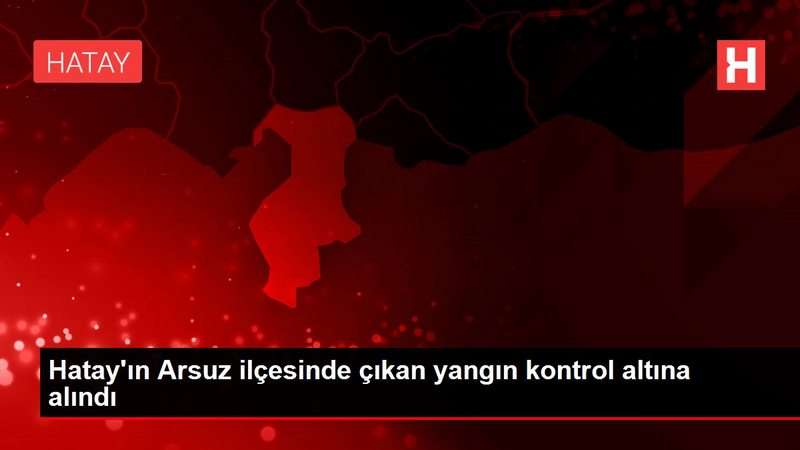 Hatay`ın Arsuz ilçesinde çıkan yangın kontrol altına alındı