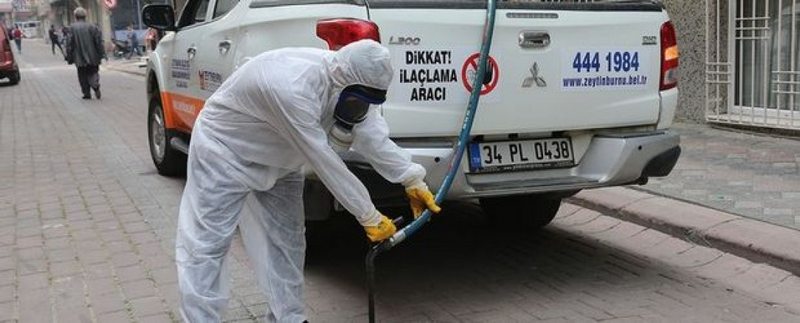 İstanbul`da sivrisinek istilası
